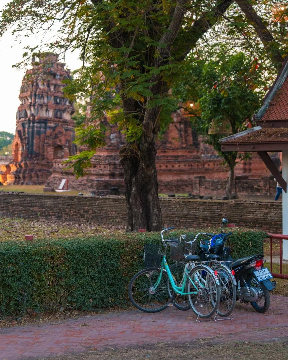 bicycle rental shop near Ayutthaya temples with classic bikes lined up