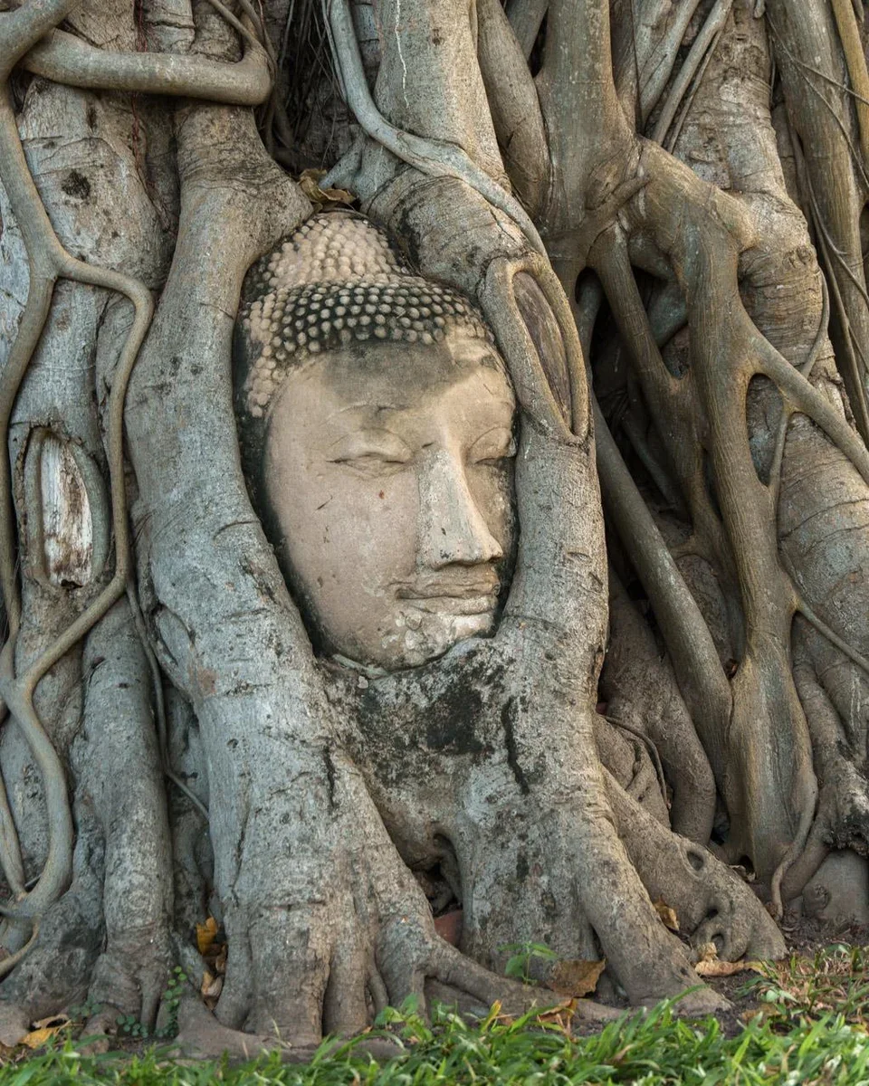 quiet sidestreet in Ayutthaya's historical park near temples and market