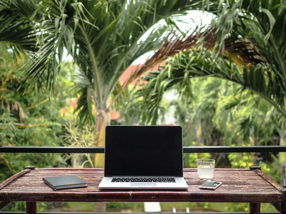 Digital nomads working on laptops in a sunny Canggu cafe with tropical plants