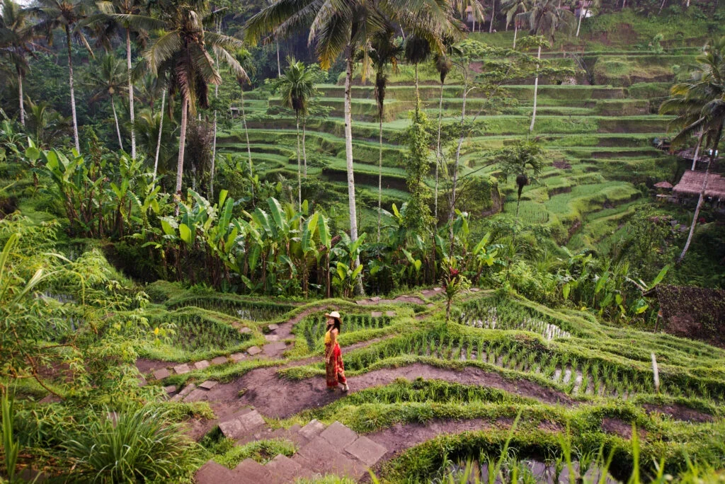 Learning to cook traditional Balinese food in a local family's kitchen in Ubud