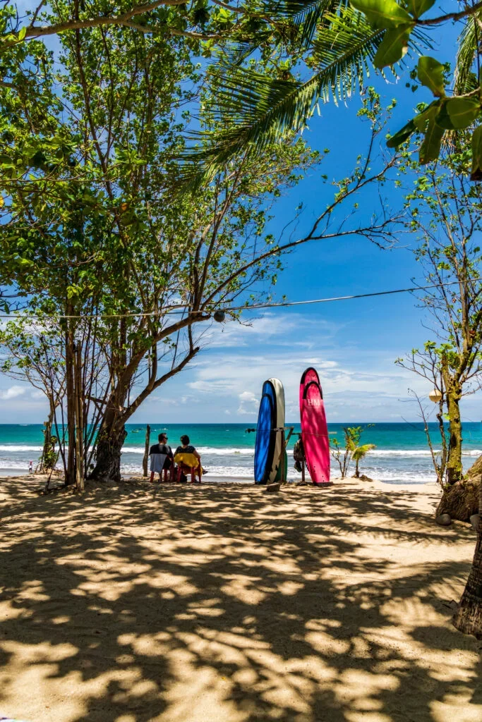 Beginner surfers catching waves at Batu Bolong Beach in Bali with instructor guidance