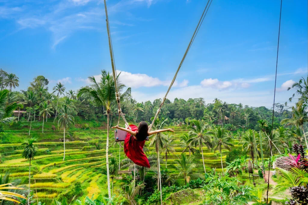 authentic Balinese food at a local warung with rice and spices