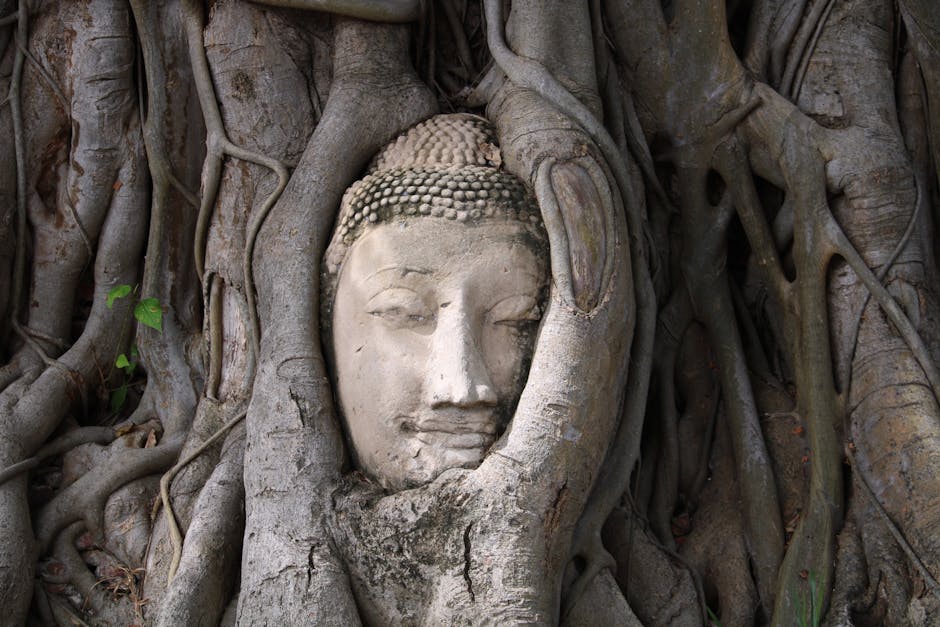 Ayutthaya Travel Guide: History, Food & Hidden Gems 2 Buddha head entwined in tree roots at Wat Mahathat