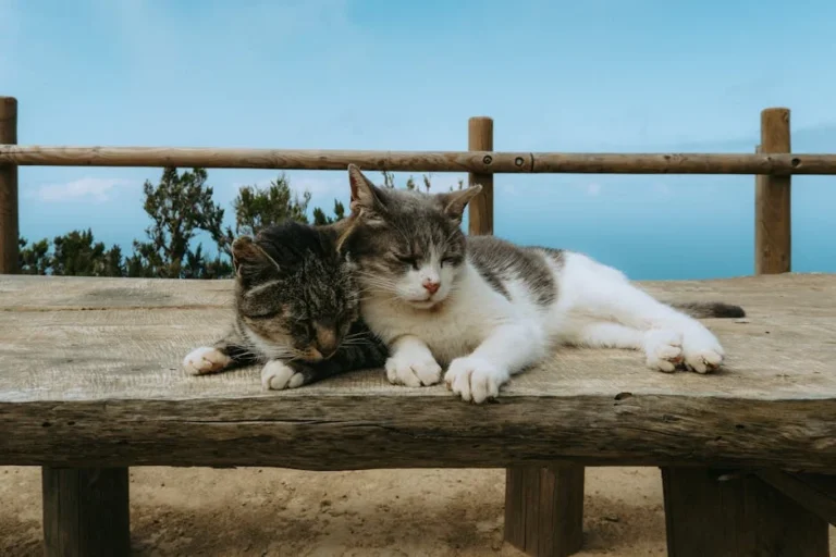 Oxytocin and dopamine molecules and a person bonding with a dog