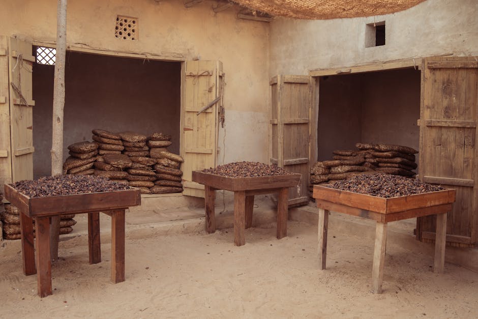 Marrakech food guide – sustainable farm-to-table restaurant Marrakech